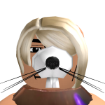 @fireshot404