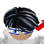 @robloxchaimpion082