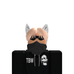 @Shadowdoggo76
