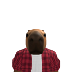 @ZDevil_Playz