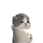 @fox_playzroblox1