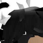 @roblox_user_10021905803