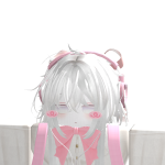 @Bonan06