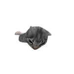 @TacocatXxxxxxx