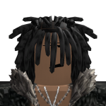 @Fastcoasterkid06