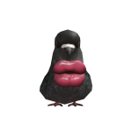 @B1TTVR