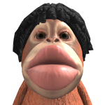 @ella_wonkaa