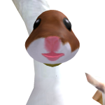 @howiyeetyou