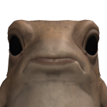 isnipeyou44