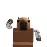 @souruimdeninjalegend