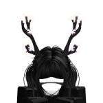 @lastcurtaincqll