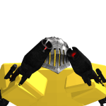 @101Racoon