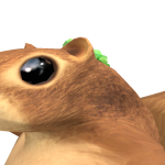 @koalalight