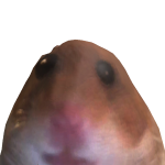 @whyy_lies
