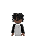 @ray22fly