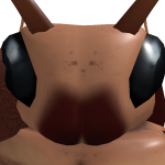 @rqlmss