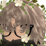 @dragonmlc5
