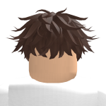 @SubToMiniBloxss