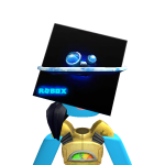robloxer1234009
