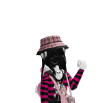 @rosetgamer90054