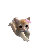 @puppy_pails
