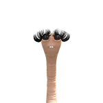 @Bonnie_rblx18