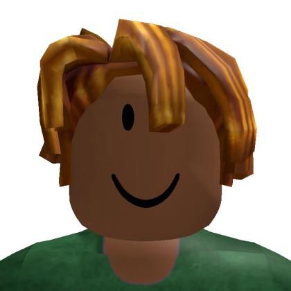 Roblox profile picture for @pitihr