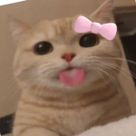@NellusPop