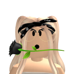 @christopher84762