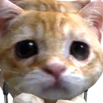 @meeeeper22