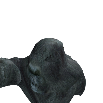 Xyoczz