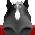 @Anno_Snipe
