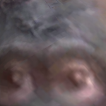 Noblazehere