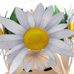 @3smew4tkins