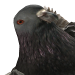 @Normal_Pigeon