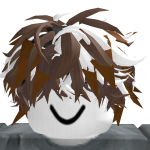 @raid161