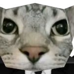 @Elkin_997