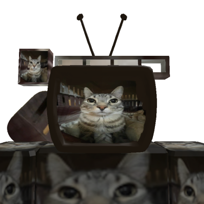 hamodysatty