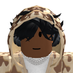 @RobloxAviator_Holder