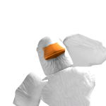 @MrBear64646
