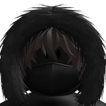 @RyanPlayRoblox273