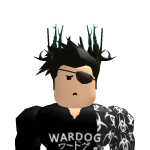 @MrAmeer1