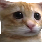 @Ad1111823