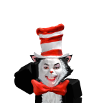 @Itzxfrxst