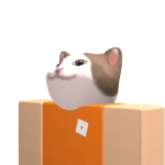 @Lucascomputer59