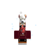 @kashu_official