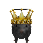@ryan4741