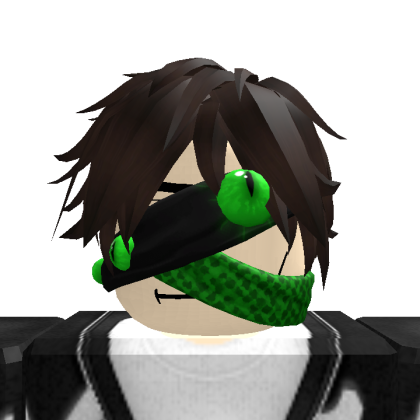 Seboleco_2011