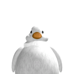 ricardoues