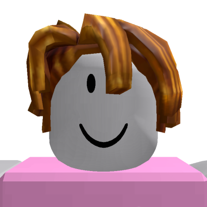 Roblox profile picture for @otw02